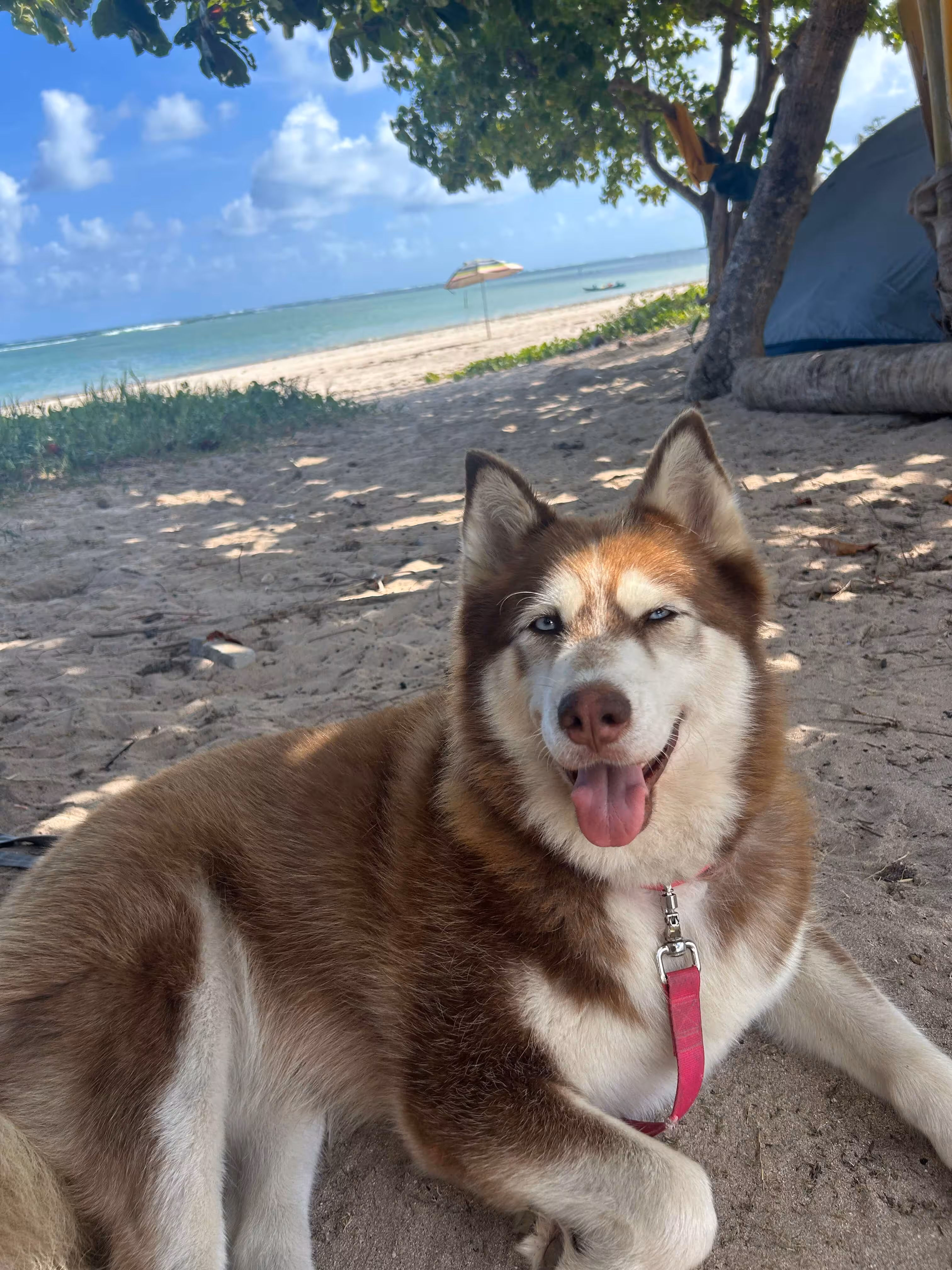 Renan, Millena e Ayla - família viajante